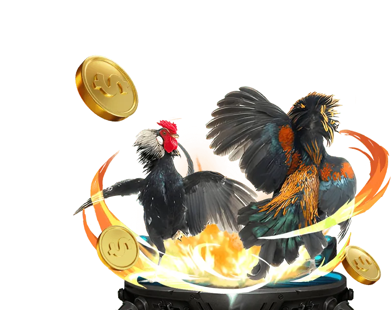 Hướng dẫn King79 1